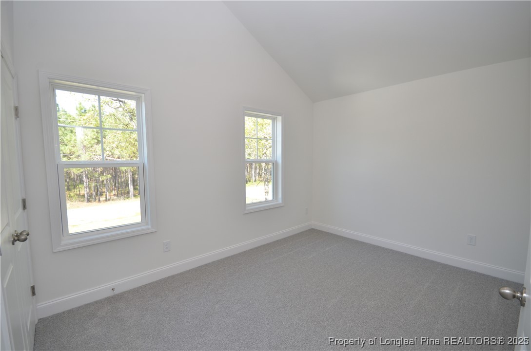 2885 Lemuel Black Road Spring Lake, NC 28390 - Photo 29 of 42