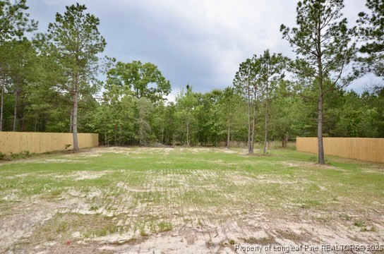 2885 Lemuel Black Road Spring Lake, NC 28390 - Photo 39 of 42