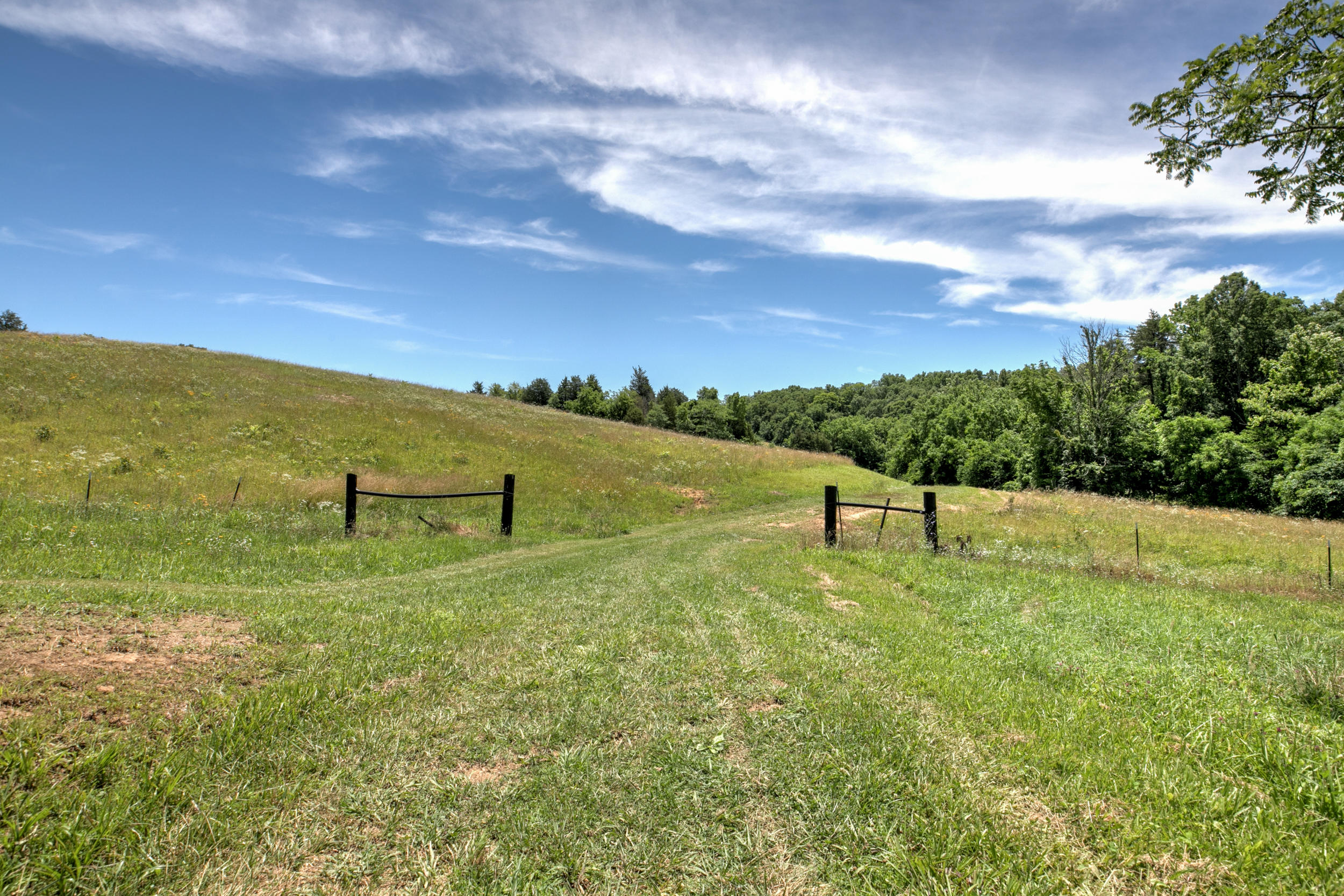 Bays Mountain Road Mohawk, TN 37810 - Photo 1 of 11 795 Mountain Rd-51