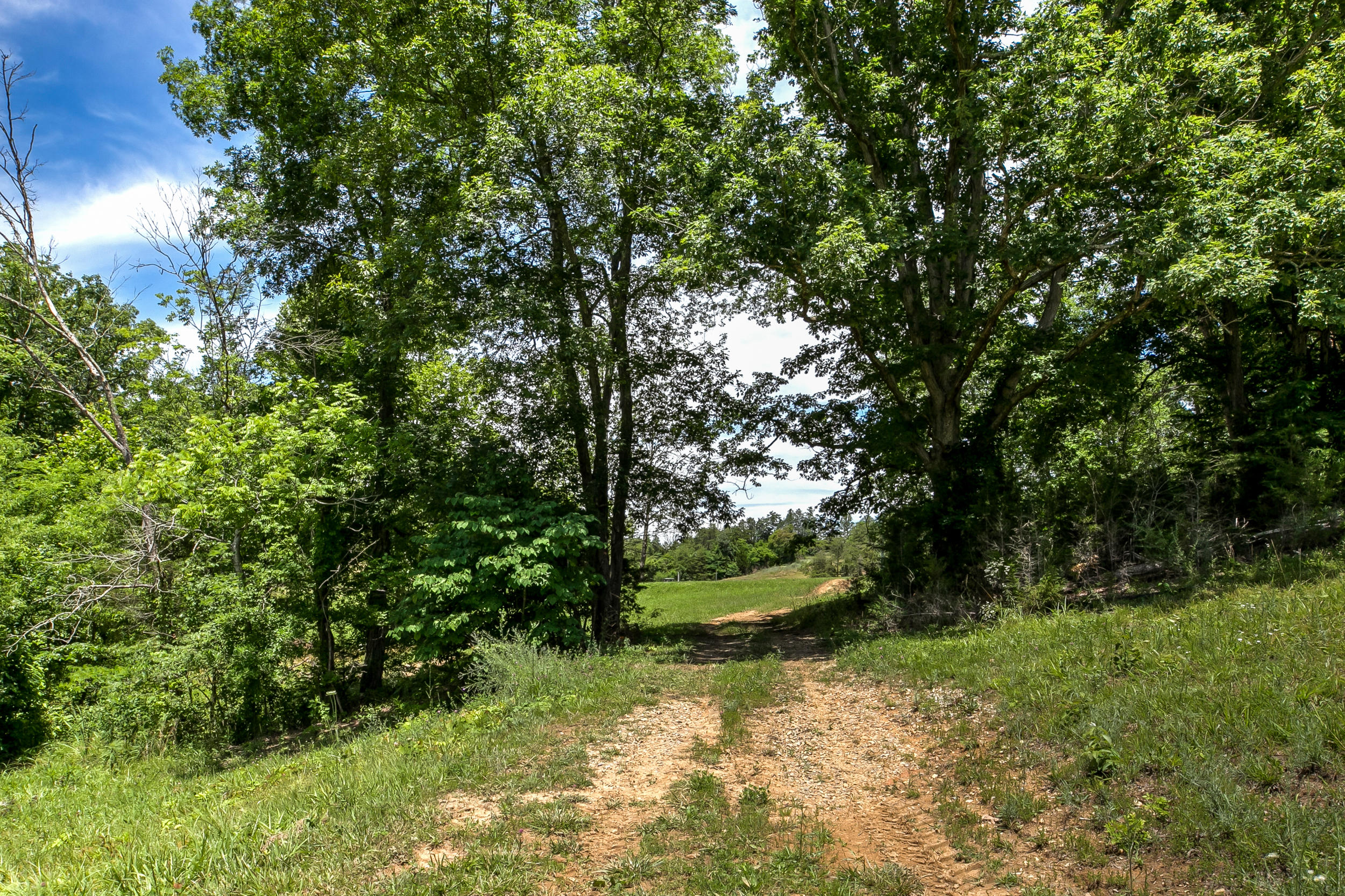 Bays Mountain Road Mohawk, TN 37810 - Photo 2 of 11 795 Mountain Rd-52