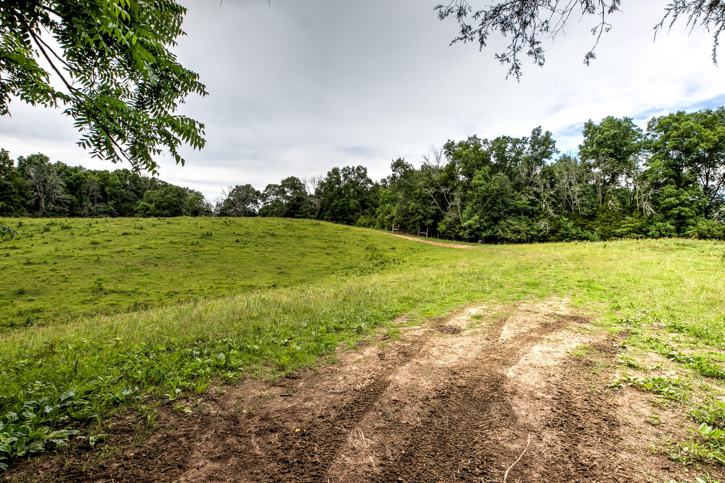 Bays Mountain Road Mohawk, TN 37810 - Photo 11 of 11 795 Mountain Rd-61