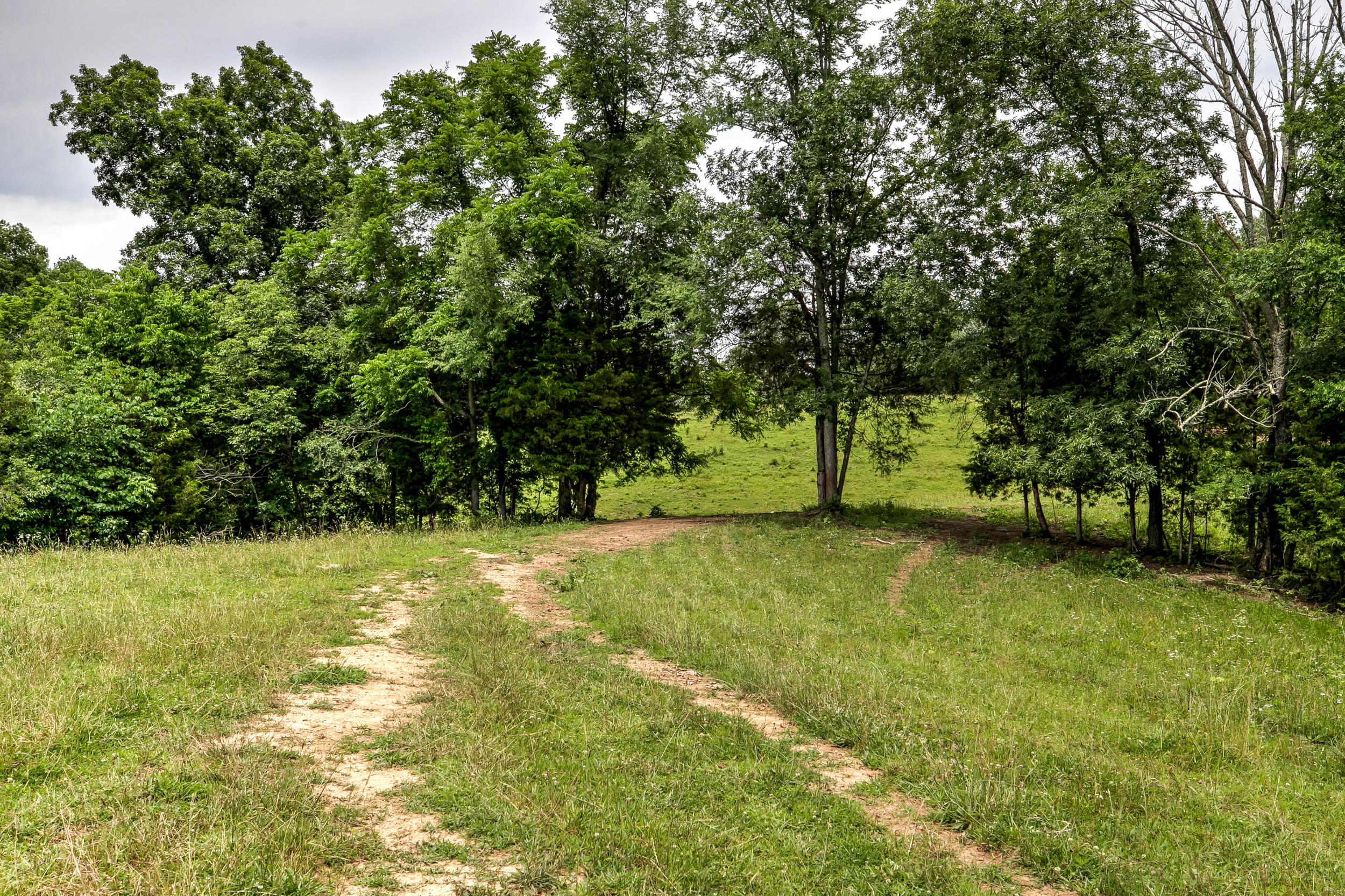 Bays Mountain Road Mohawk, TN 37810 - Photo 10 of 11 795 Mountain Rd-60
