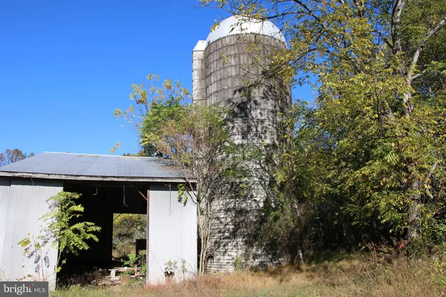 a view of a field of grass and trees