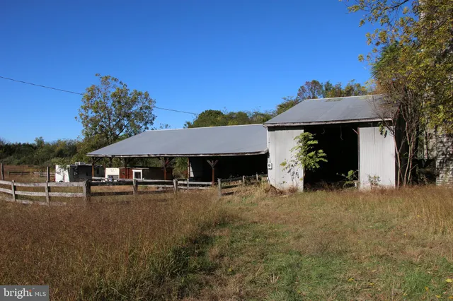 a view of a dry yard with trees