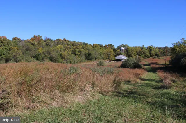 a view of a dry yard with trees in the background