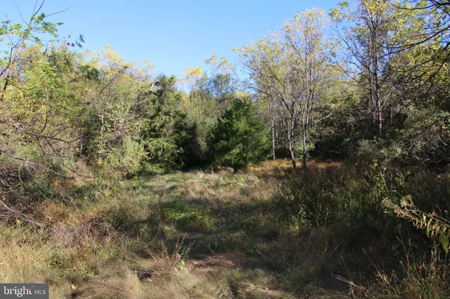 a view of an outdoor space and a yard