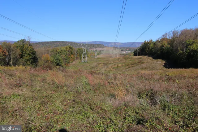 a view of a yard with horses
