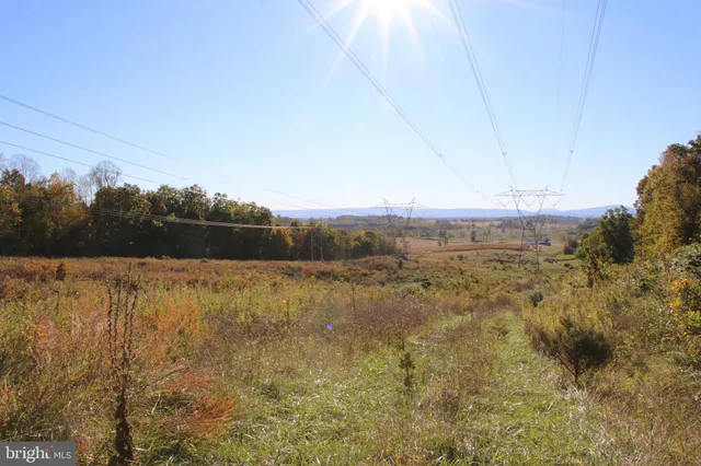 a view of a field of grass and trees