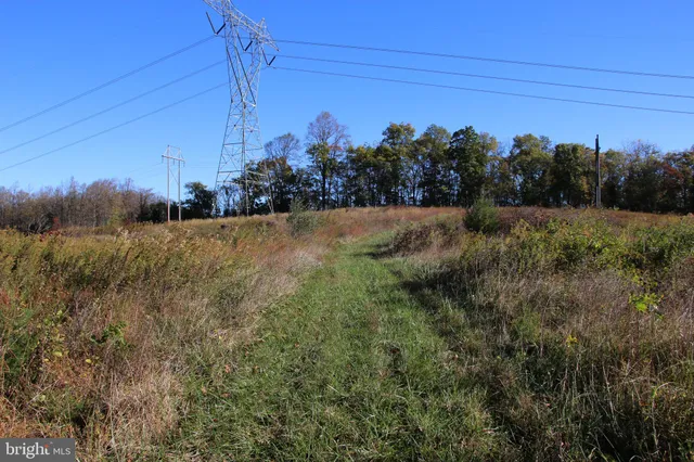 a view of a forest with lush green forest