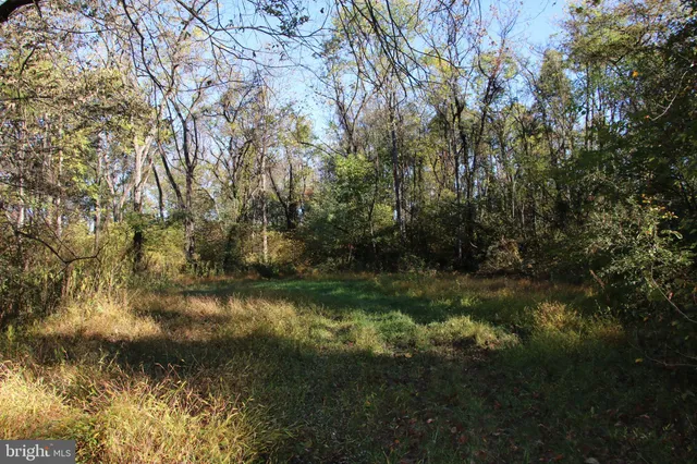 a view of a city with lush green forest