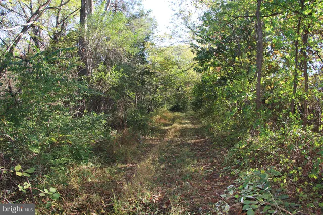 an aerial view of residential house with outdoor space and trees all around