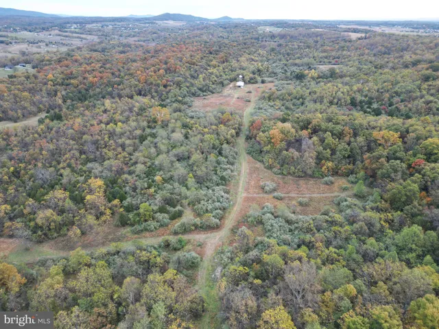 an aerial view of forest