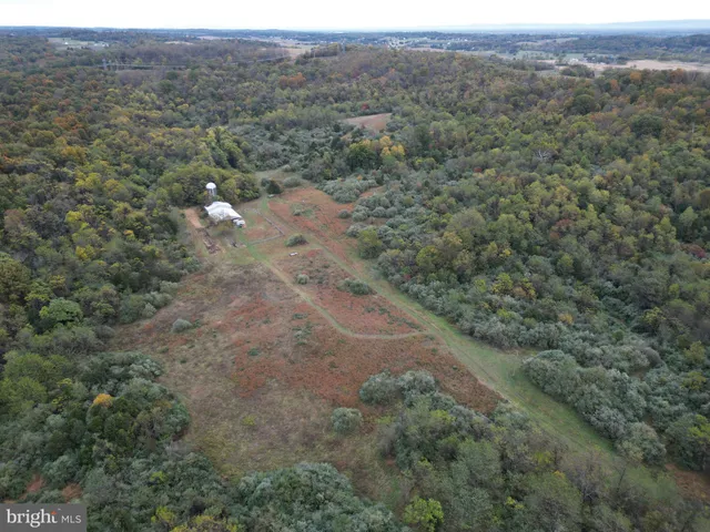 a view of a dry field with lots of trees