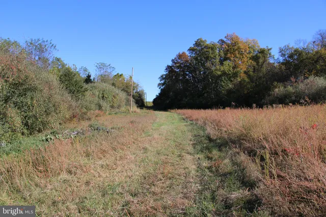 a view of a yard covered with snow in the background