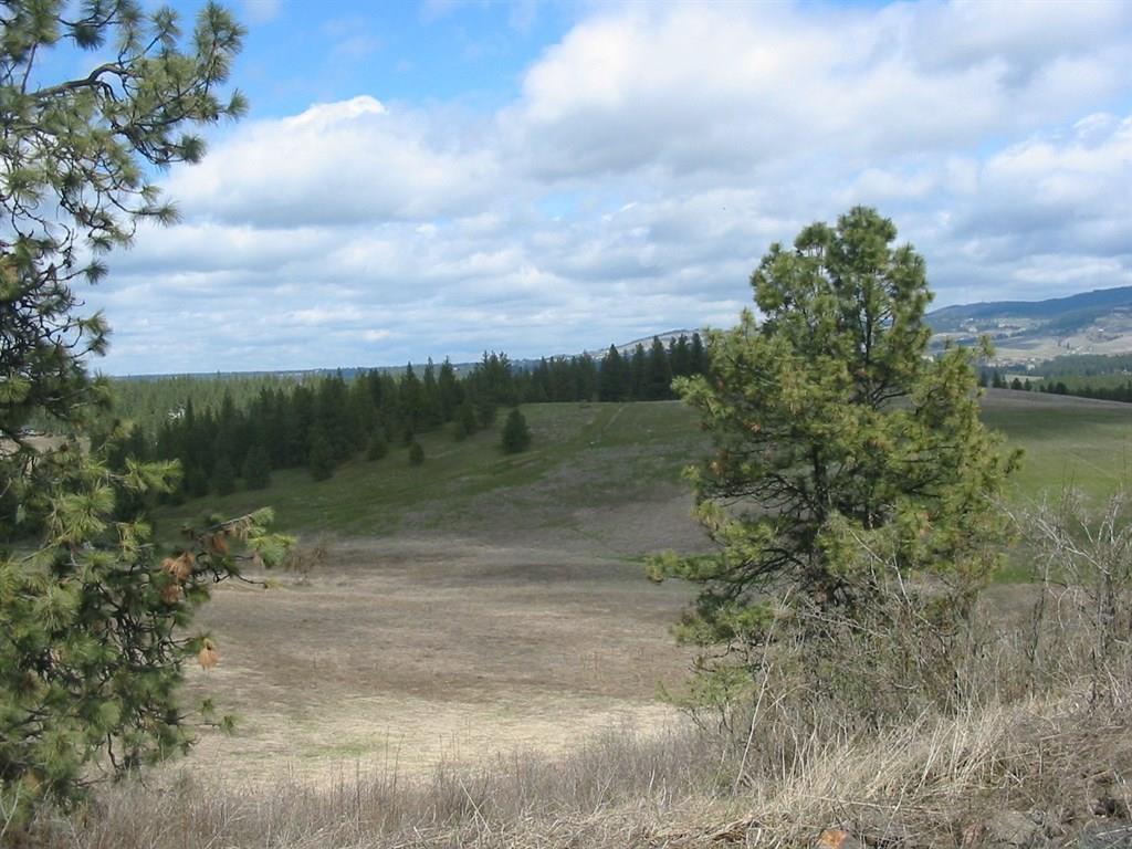 0 South Stentz Road Spokane, WA 99224 - Photo 8 of 12