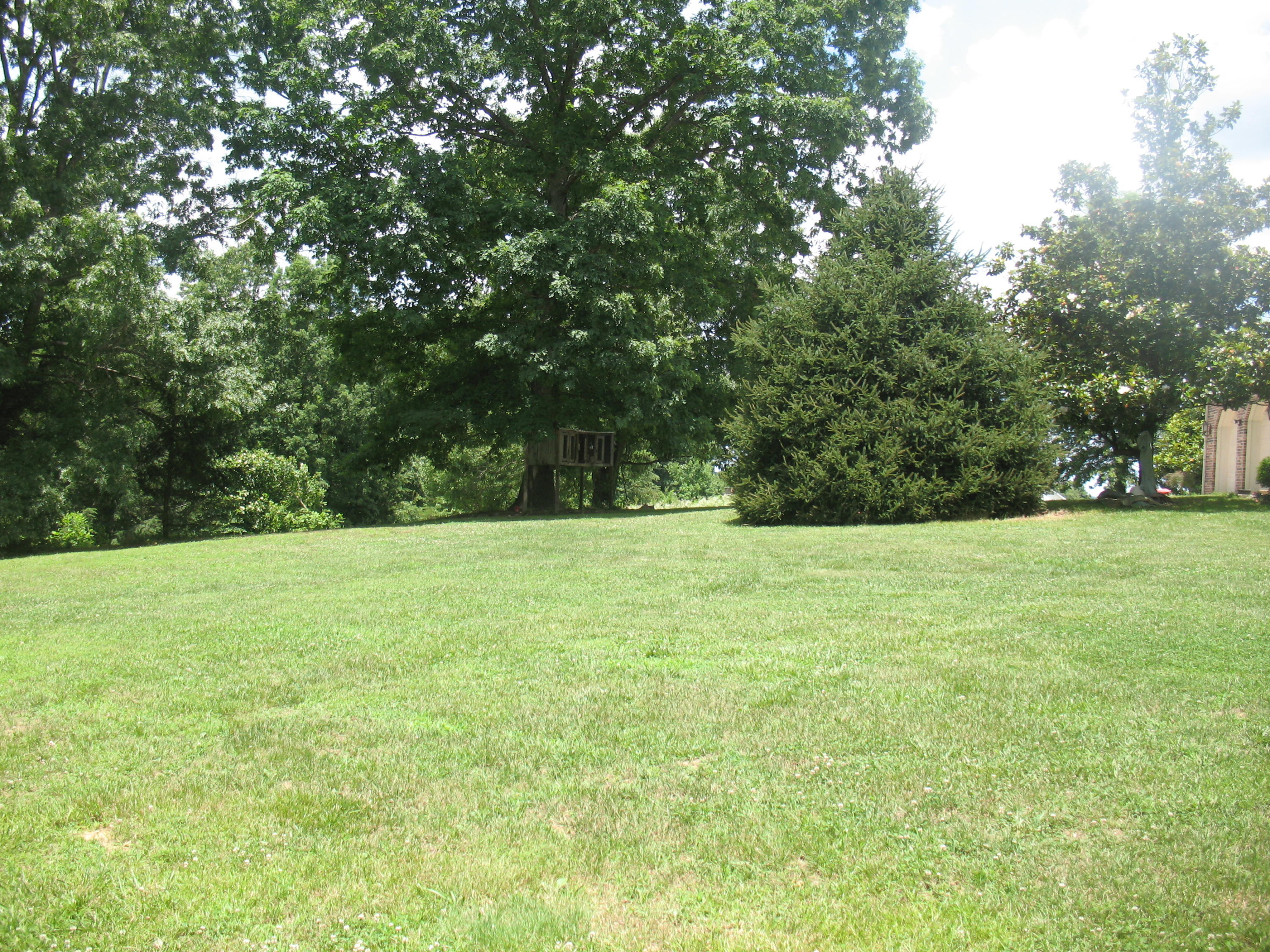 50 Ridge Line Drive London, KY 40741 - Photo 10 of 45 IMG_4014