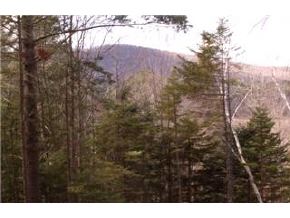 0 River Road Rumney, NH 03266 - Photo 3 of 6