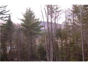 0 River Road Rumney, NH 03266 - Photo 5 of 6