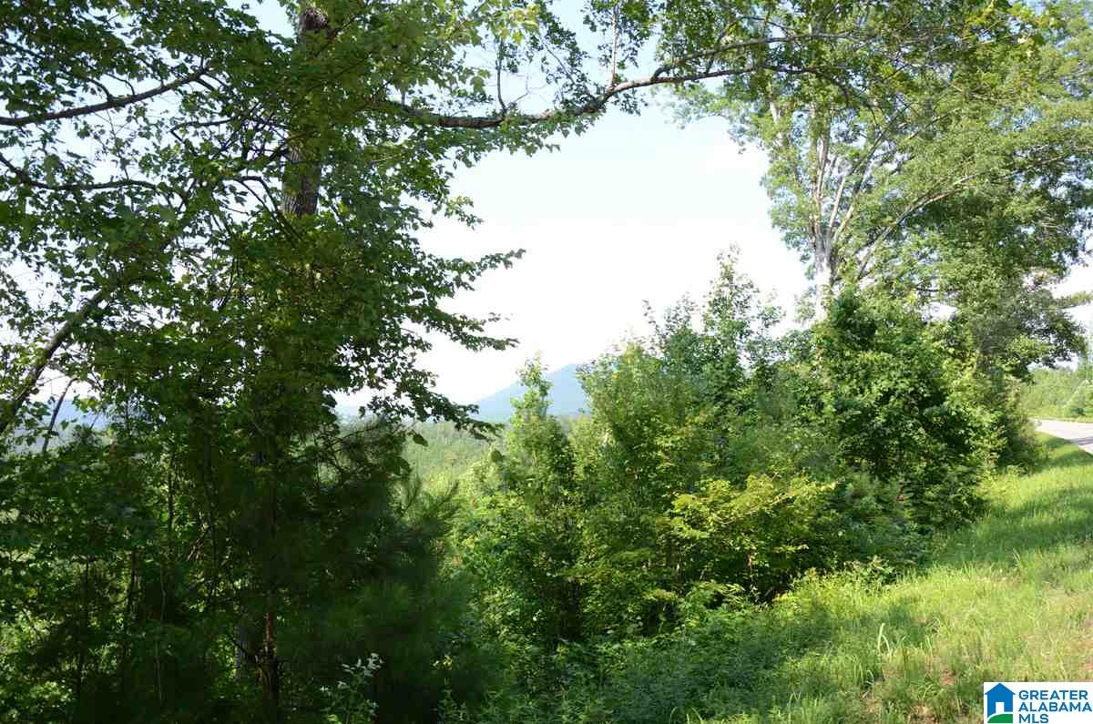 10098 County Road 55, Unit 24 ACRES Fruithurst, AL 36262 - Photo 8 of 27