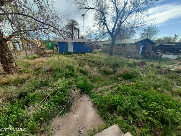 a view of a yard with plants and a large tree