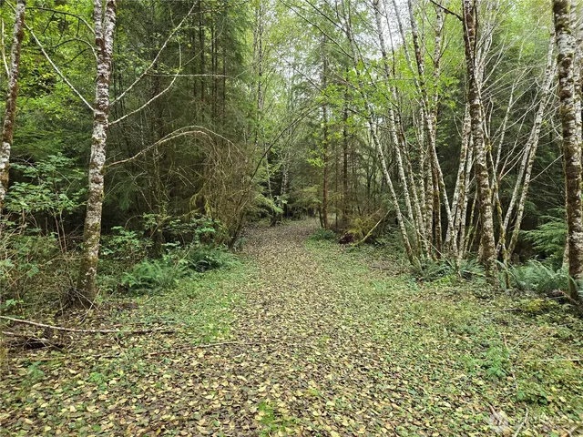 a view of outdoor space and garden