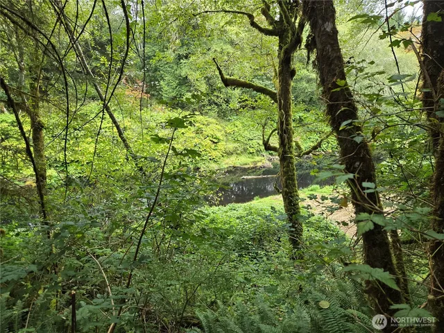 a backyard of a house with lots of plants and trees