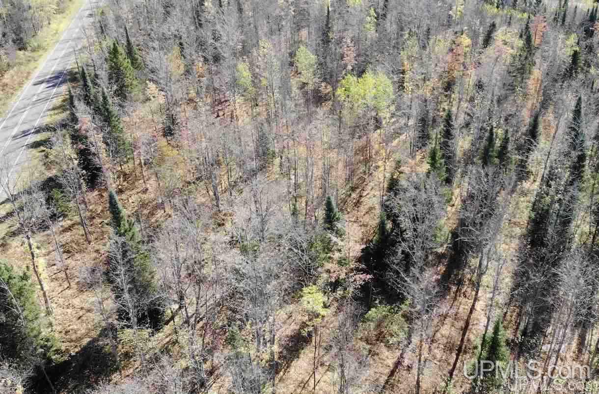 Tbd Ford Farm Road Skanee, MI 49962 - Photo 6 of 27