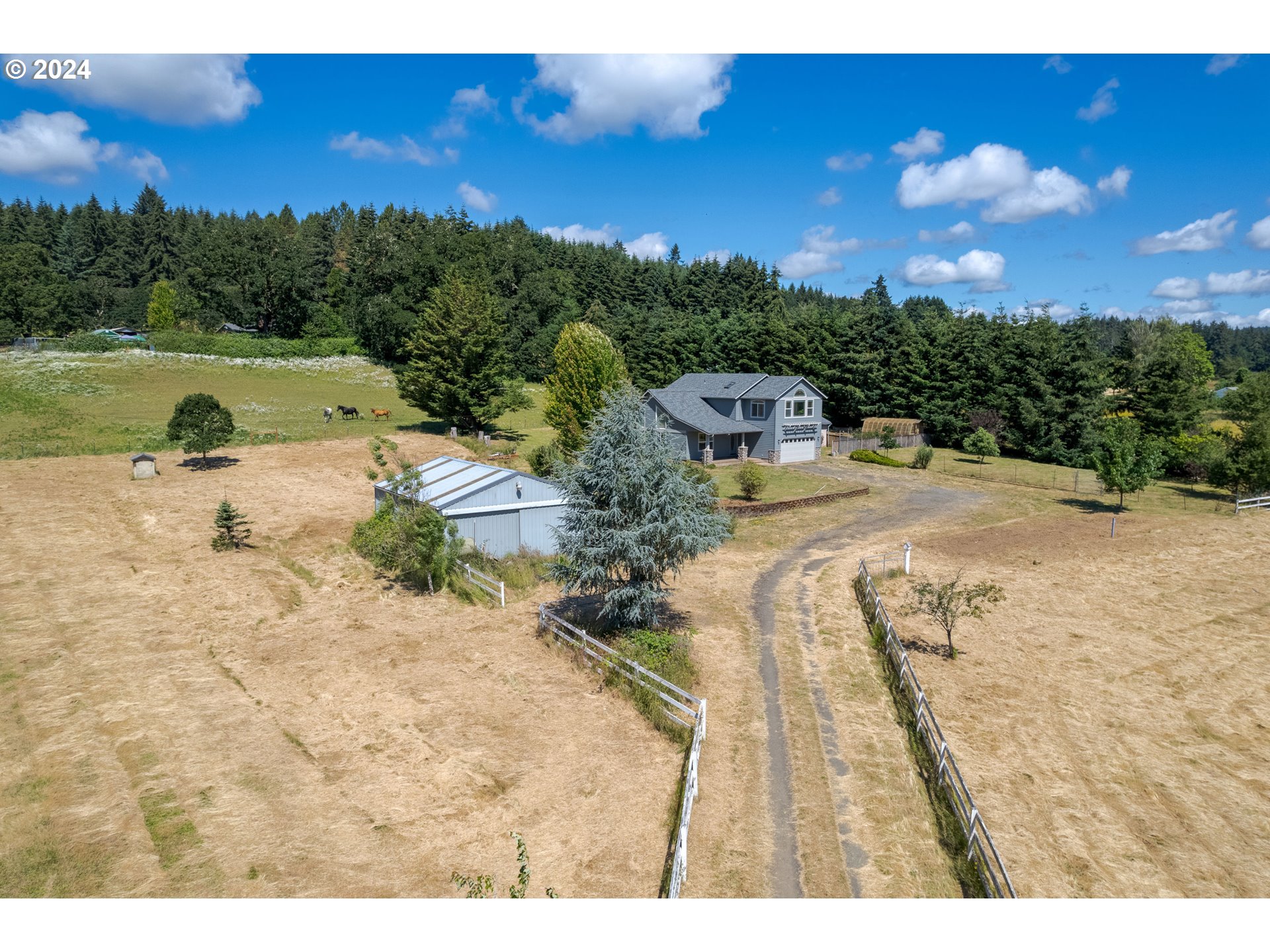 a view of a swimming pool with a yard