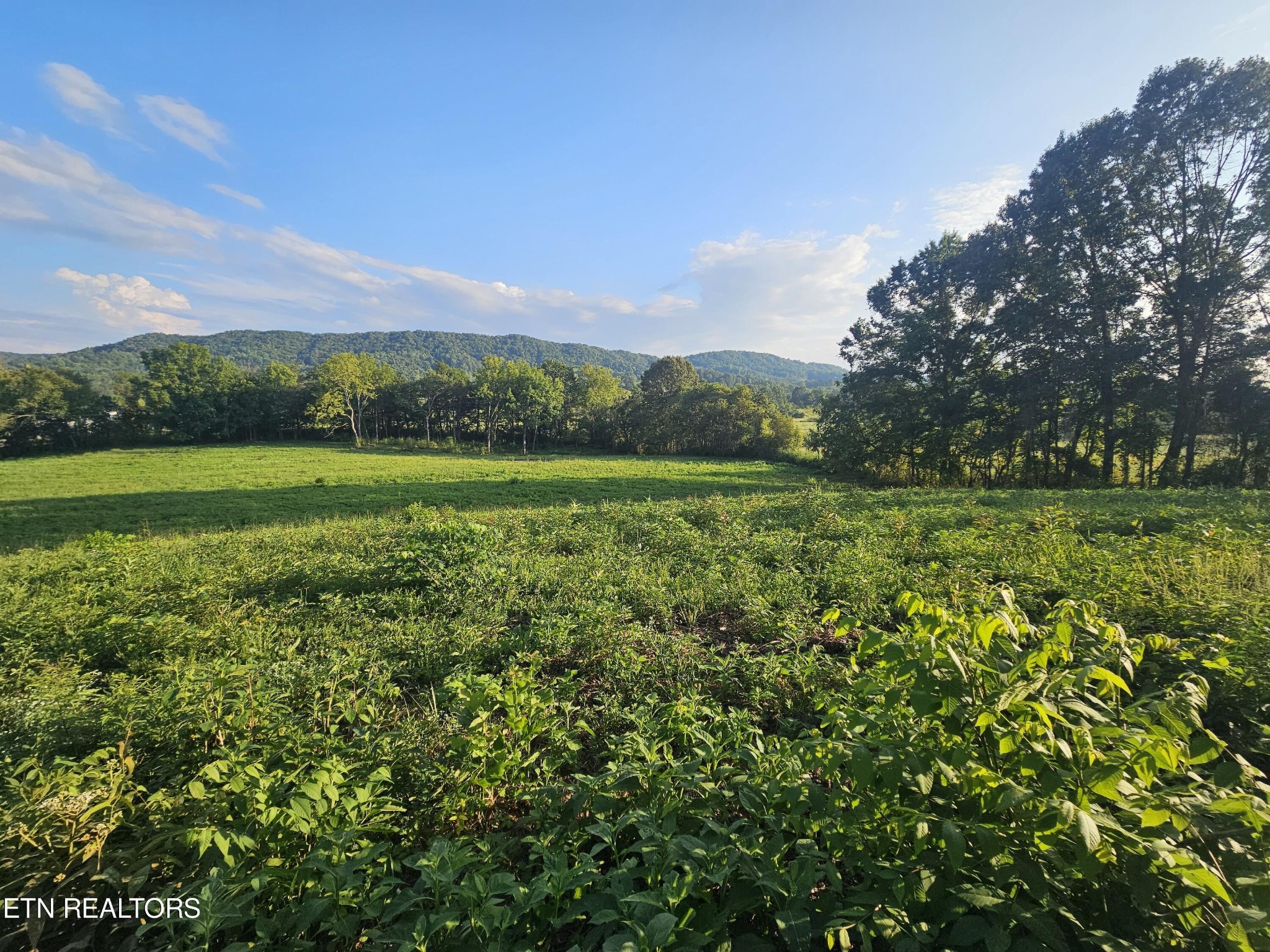 0 Brantley Road Sharps Chapel, TN 37866 - Photo 1 of 4 Gallery Image 1