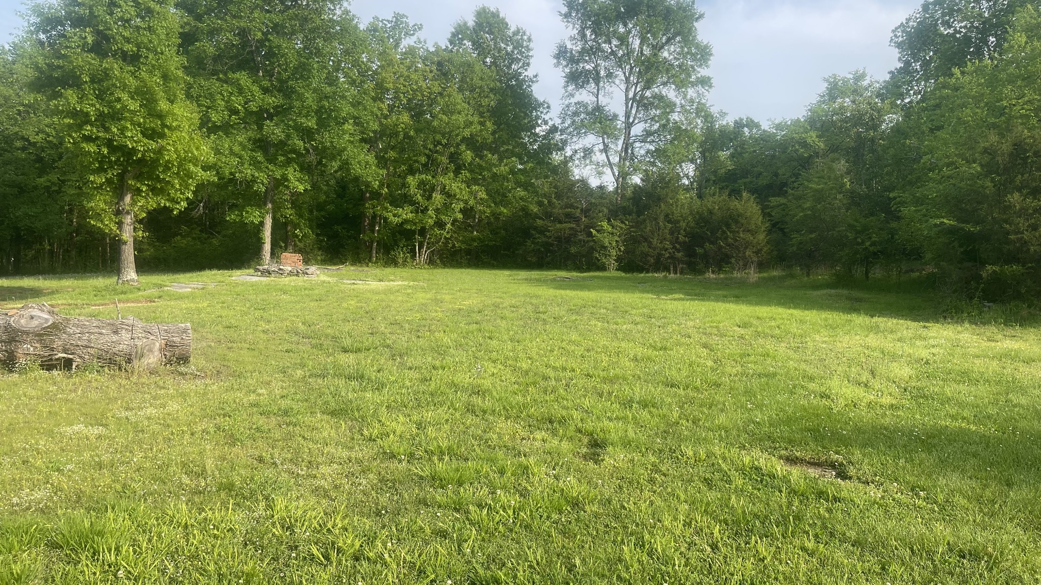 540 Canoe Branch Road Lebanon, TN 37087 - Photo 12 of 17 a view of a field with a trees