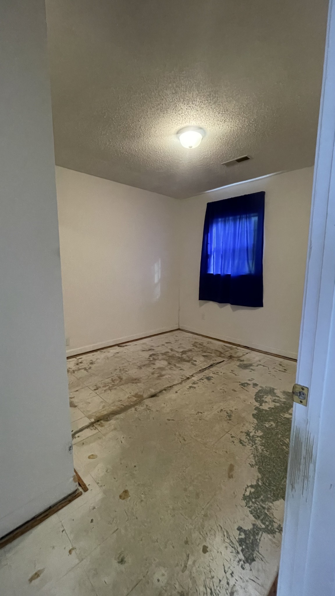 540 Canoe Branch Road Lebanon, TN 37087 - Photo 7 of 17 view of empty room with wooden floor and painted walls