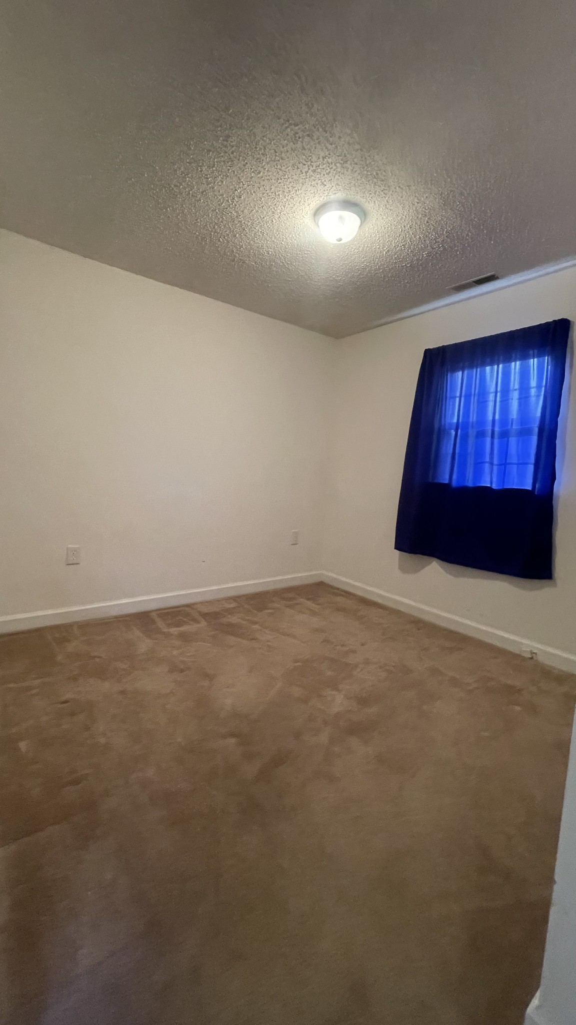540 Canoe Branch Road Lebanon, TN 37087 - Photo 8 of 17 an empty room with windows