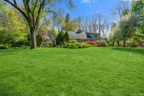 a view of a park with large trees