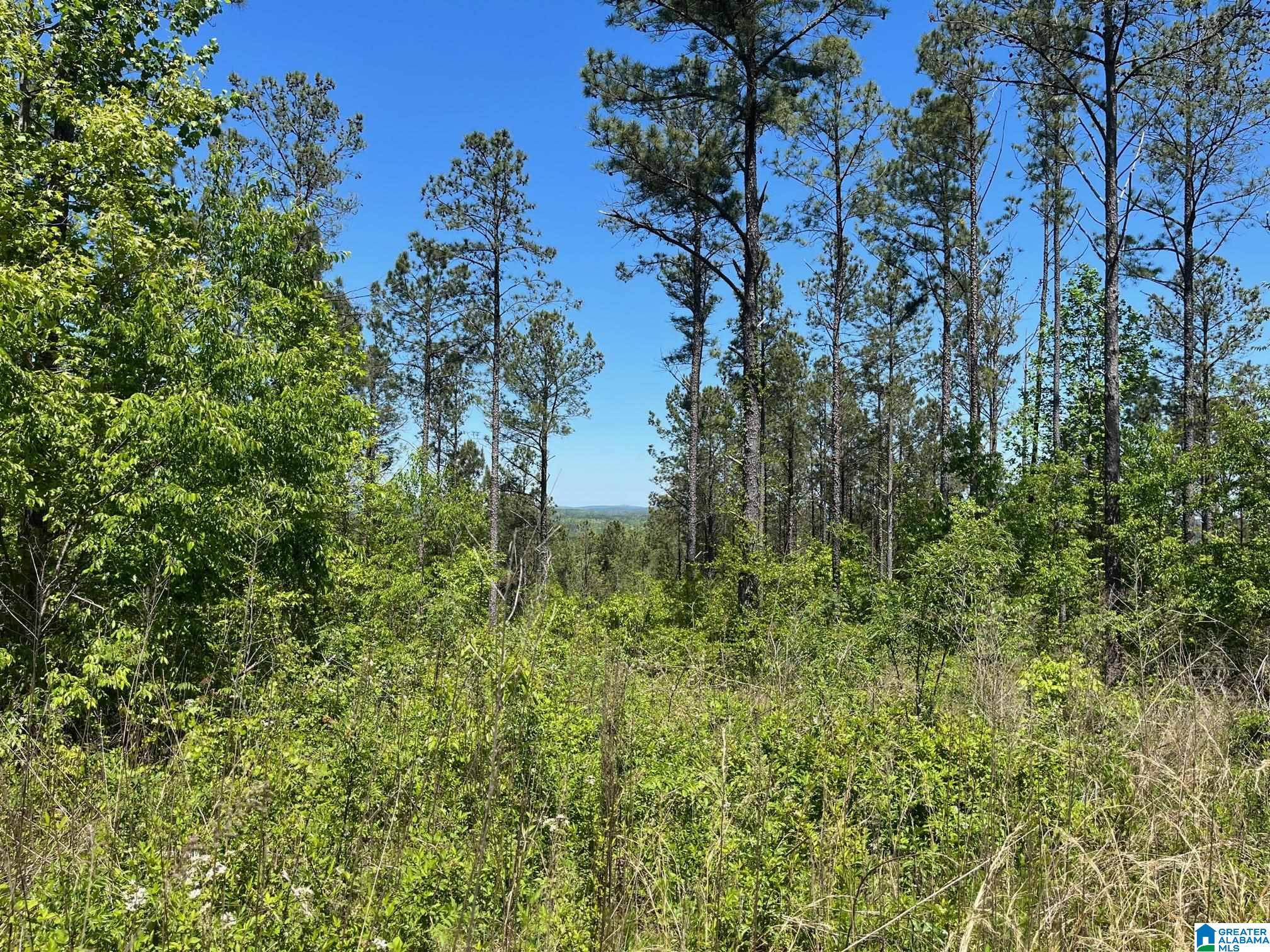 662 Blair Road, Unit 231 AC Ashland, AL 36251 - Photo 2 of 7