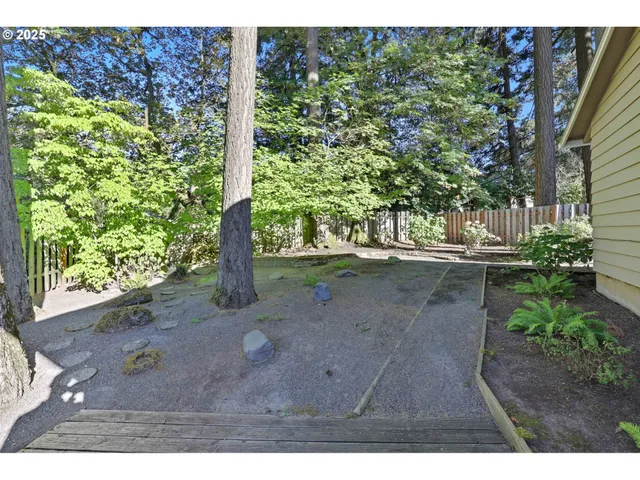 a view of a yard with plants and trees