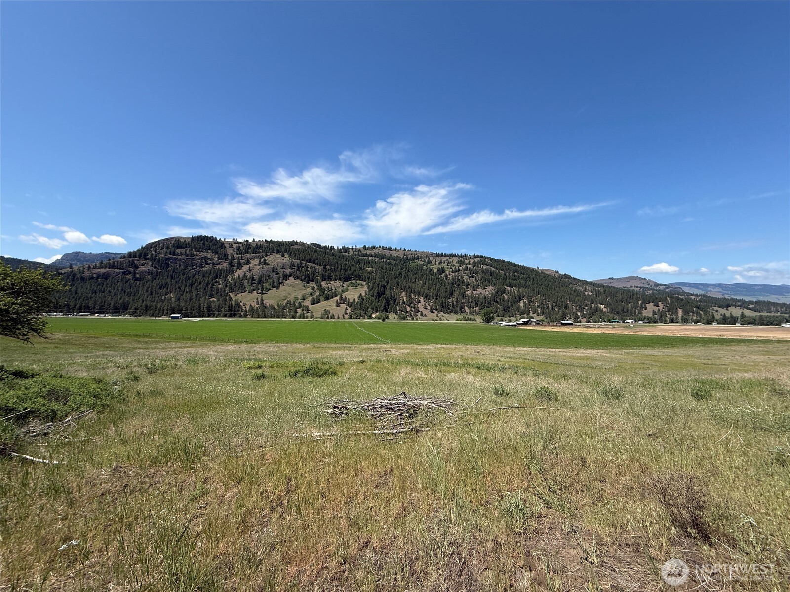 0 Art Creek Road Malo, WA 99150 - Photo 1 of 13 a view of a lake with a mountain in the background