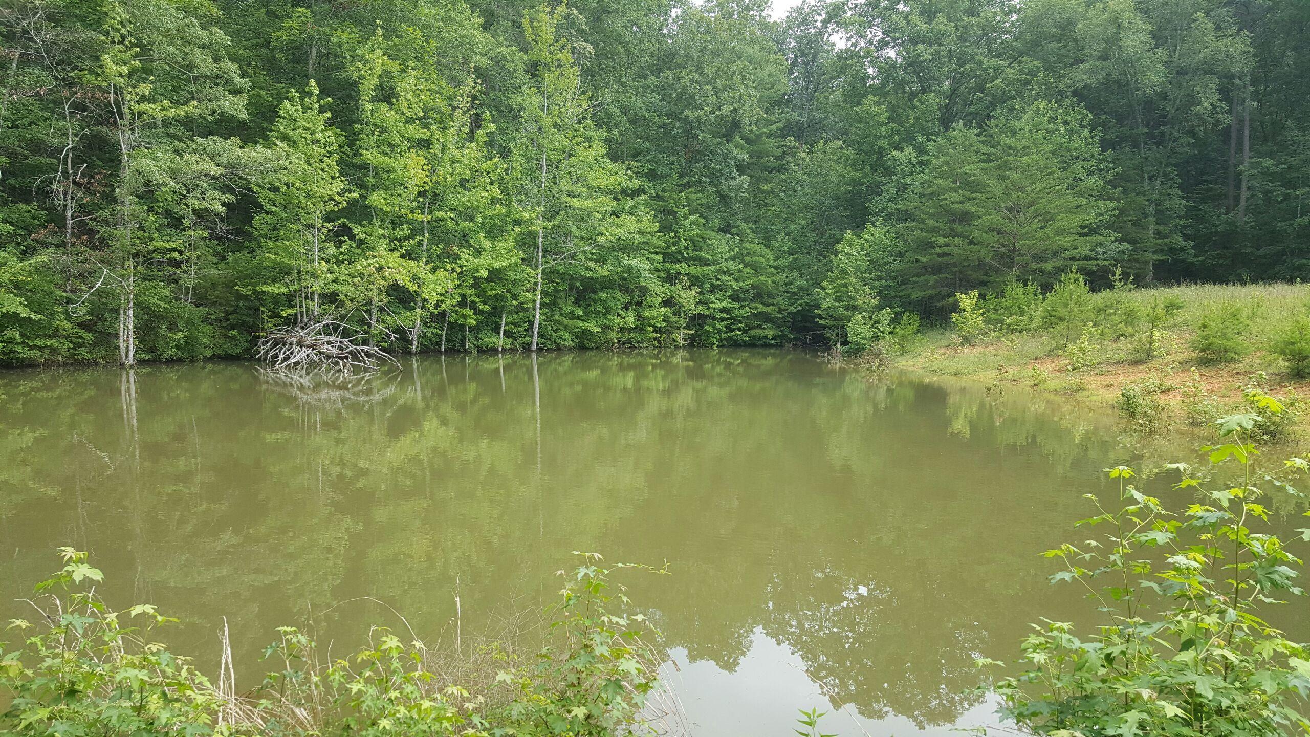 0 Upper Cove Loop Road Dayton, TN 37321 - Photo 3 of 3 Pond 1