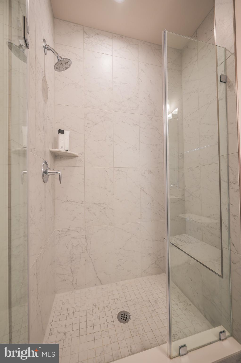 1606 Grove Chestnut Road Dumfries, VA 22026 - Photo 40 of 63 Premium shower in owners suite