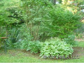 123 Kingsgate Road Asheville, NC 28805 - Photo 10 of 16 Gallery Image 10