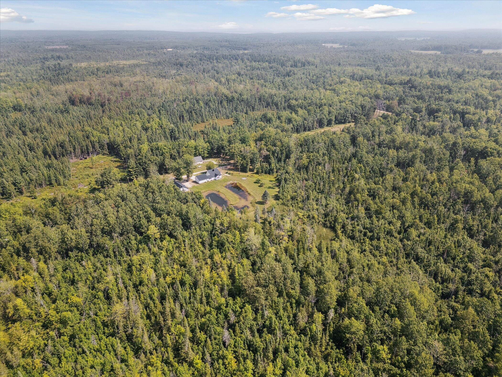 3441 Townline Road Houghton Lake, MI 48629 - Photo 52 of 53 Aerial 2