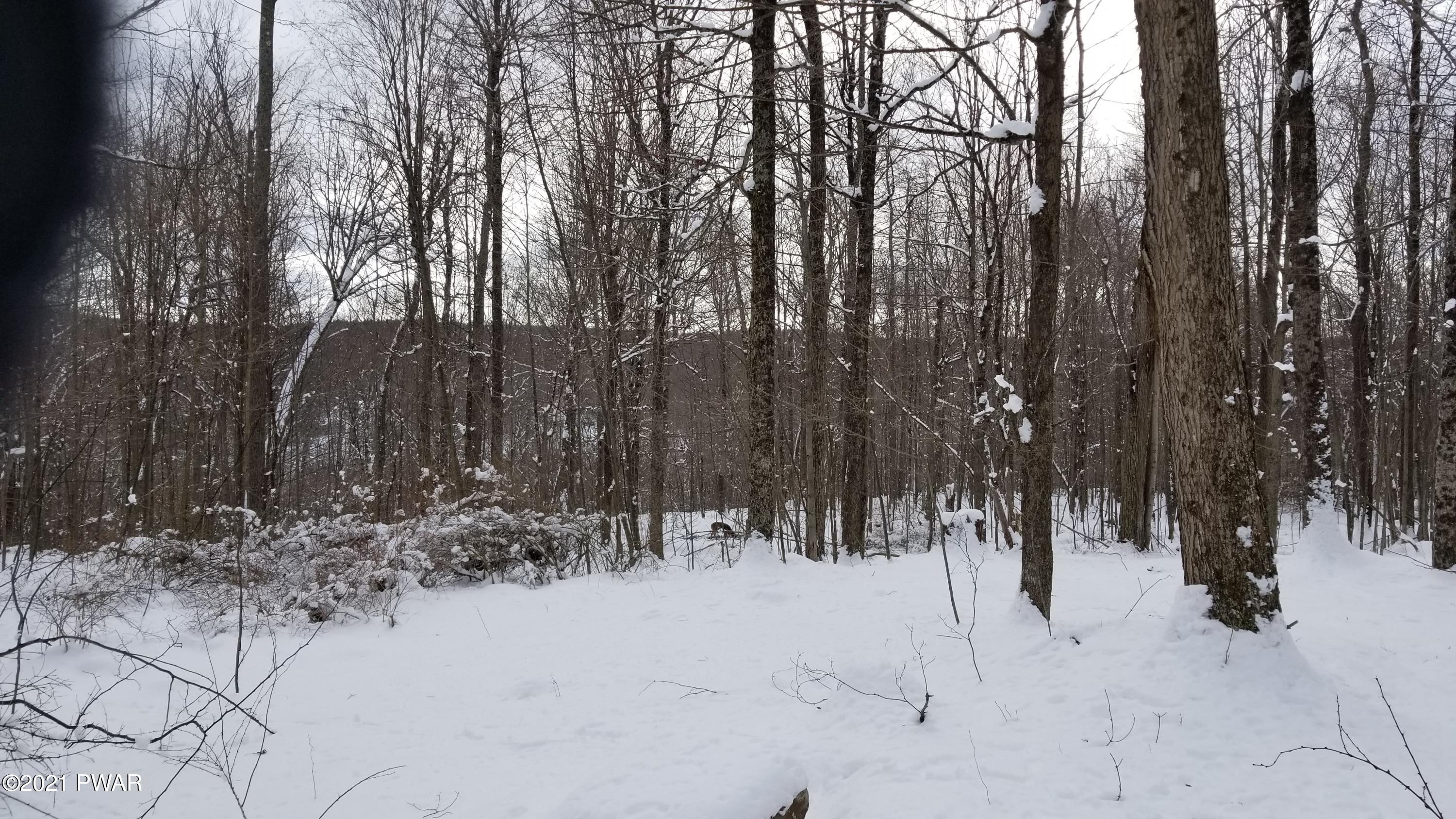 Lot 63 Old Woods Road Equinunk, PA 18417 - Photo 4 of 63