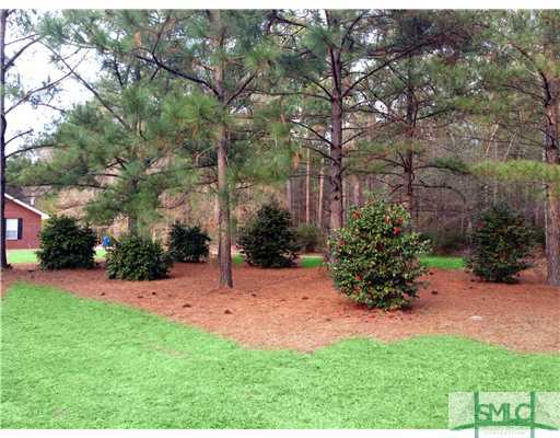 551 Race Path Road Rincon, GA 31326 - Photo 24 of 25 Land/Lot. 2 driveway entrances and mature landscap