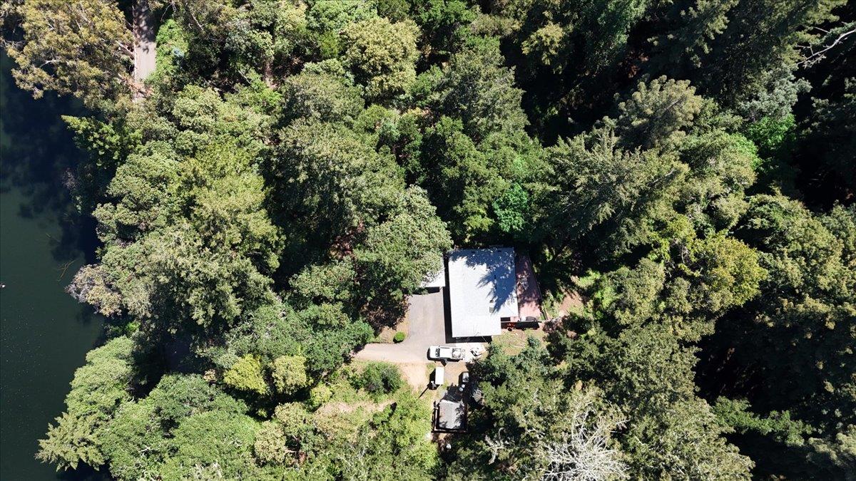 19730 Black Road Los Gatos, CA 95033 - Photo 13 of 16