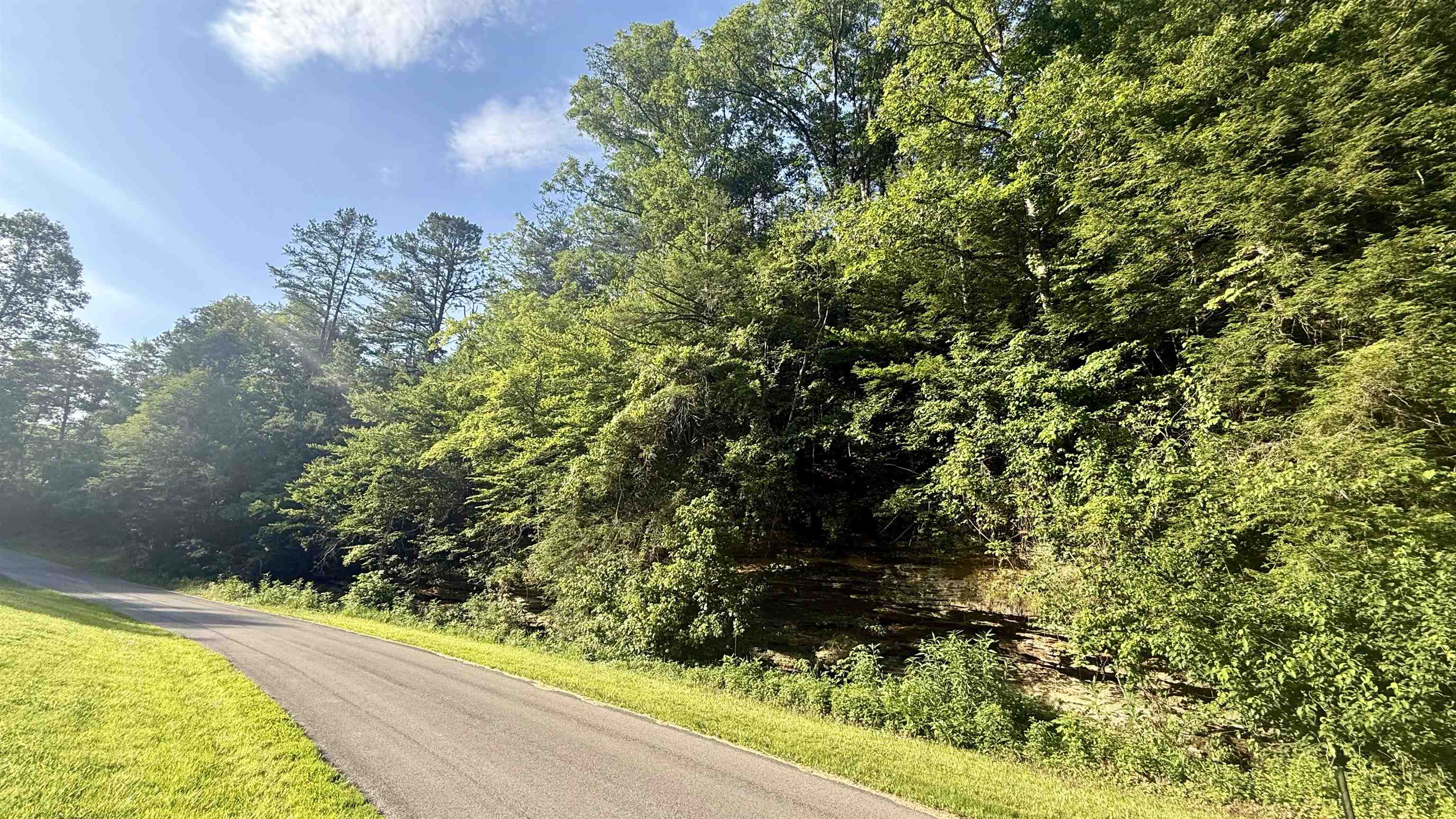 0 Laurel Road Greenup, KY 41144 - Photo 9 of 10