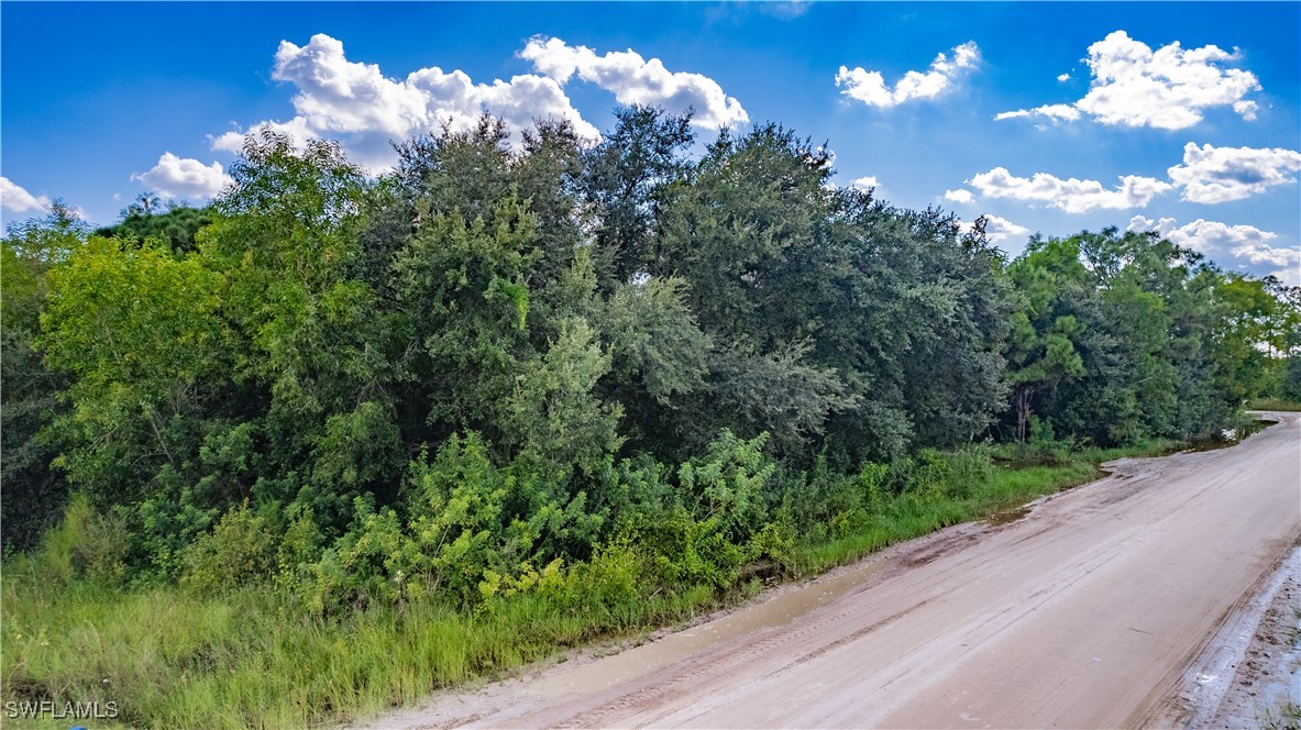 14701 Green Meadow Road Fort Myers, FL 33913 - Photo 3 of 15