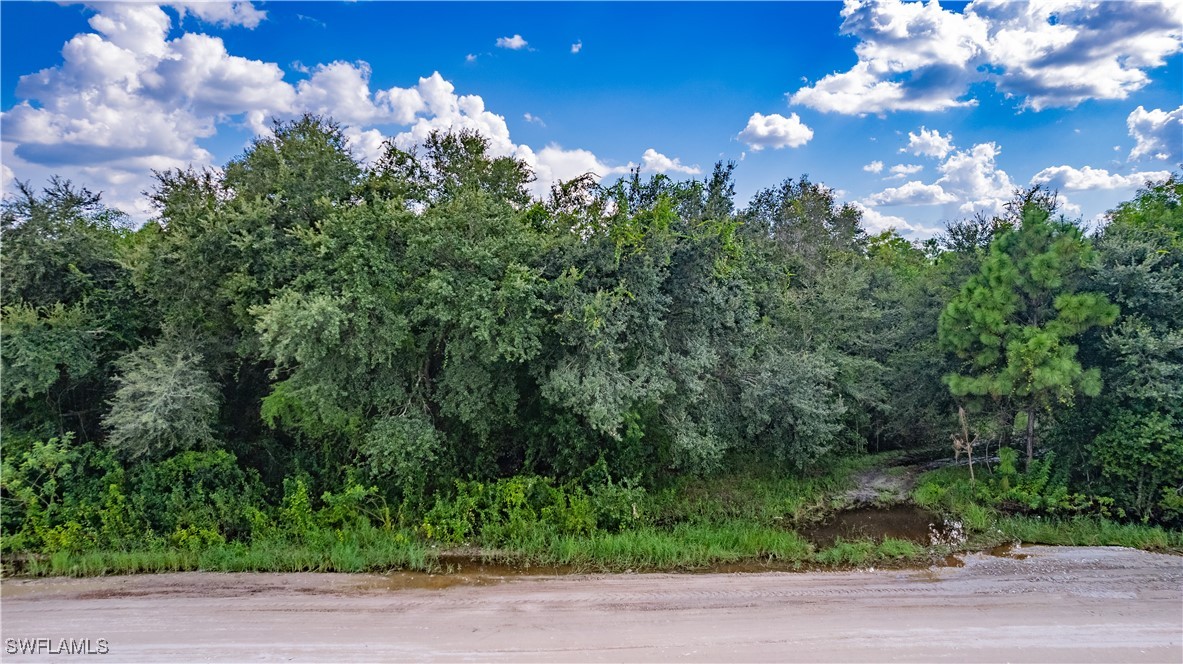 14701 Green Meadow Road Fort Myers, FL 33913 - Photo 4 of 15