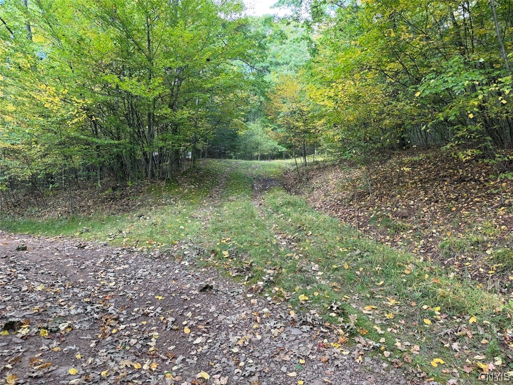 Bent Dipper Road Ceres, NY 14721 - Photo 26 of 27 Gallery Image 26