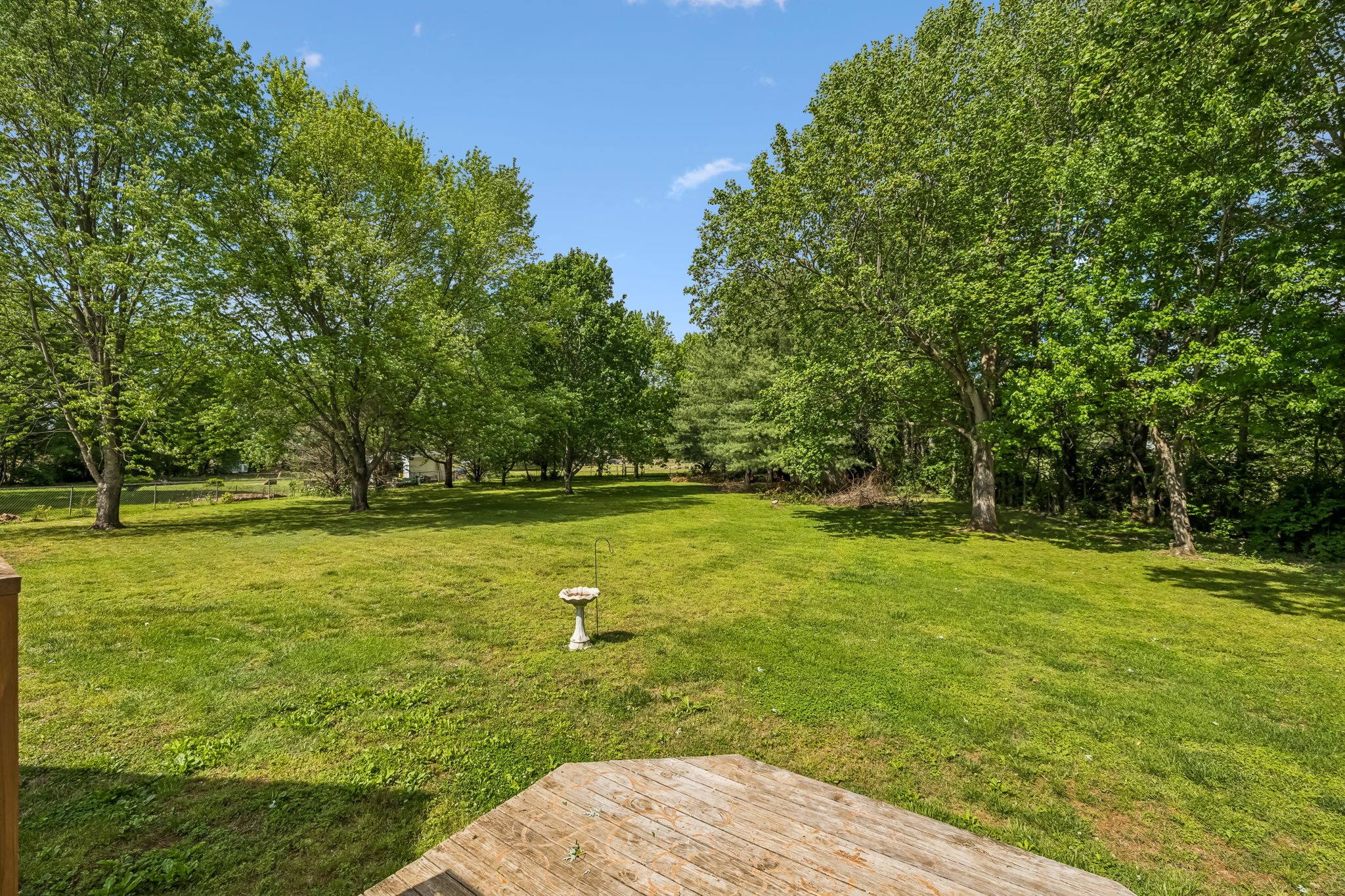 3516 Laurel Court Murfreesboro, TN 37129 - Photo 56 of 65 a view of yard with swimming pool and green space