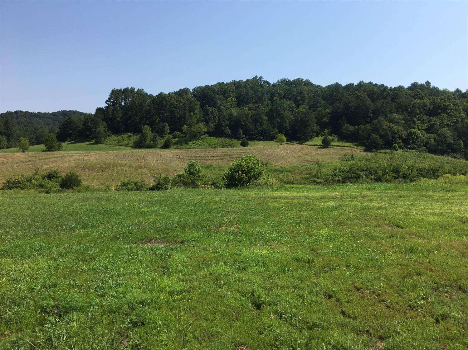 8181 Johnson Road London, KY 40741 - Photo 5 of 41 Photo 5