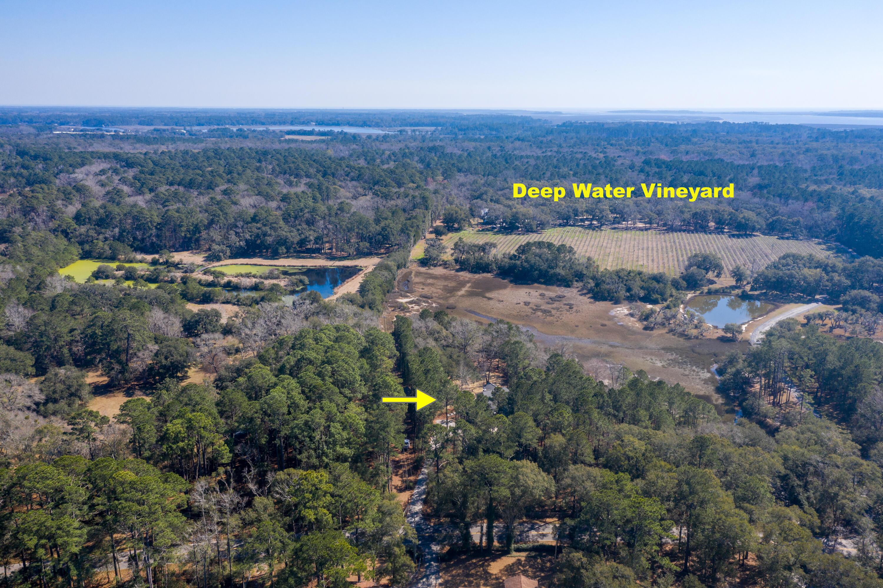 6765 Bears Bluff Road Wadmalaw Island, SC 29487 - Photo 52 of 58 6765 Bears Bluff Rd-62